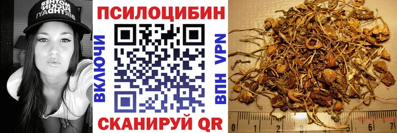 Псилоцибиновые грибы GOLDEN TEACHER Новый Оскол